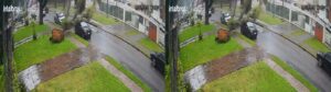 Árvore cai sobre carro em Curitiba durante temporal
