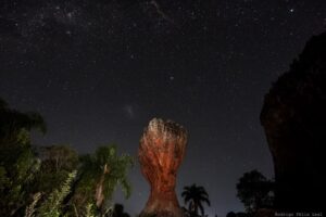 Caminhada Noturna no Parque Vila Velha acontece neste sábado (1)