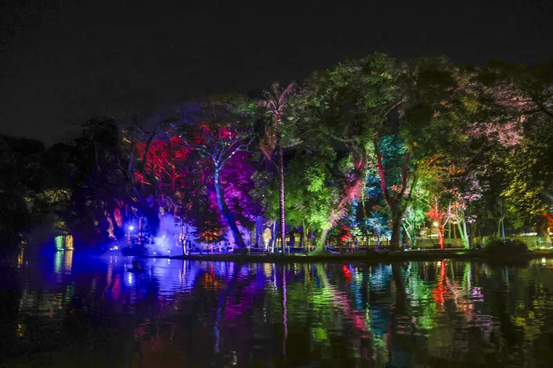 árvores coloridas inverno encantado Curitiba
