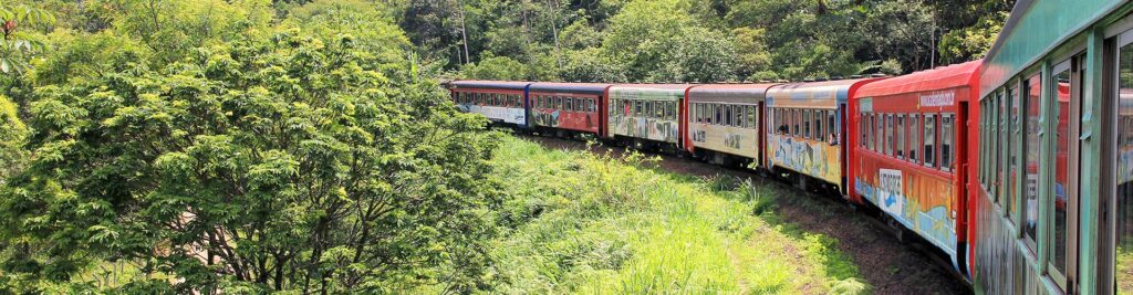 Trem que vai a Morretes